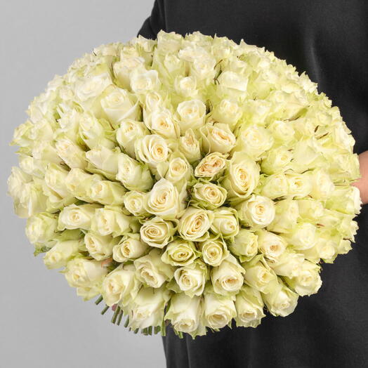 151 trandafiri albi 50 cm