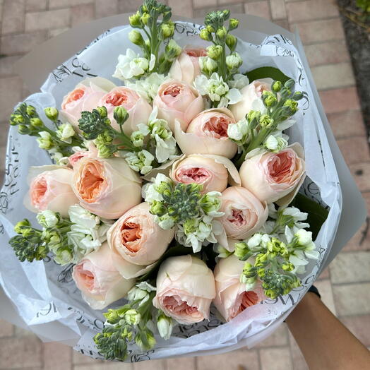 Giardino di Giulietta