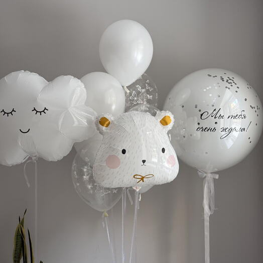 Snow-White Newborn Discharge Set