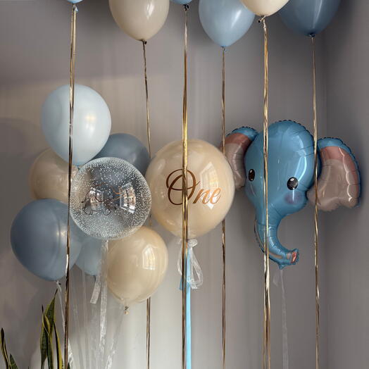 Boy s Set with Elephant