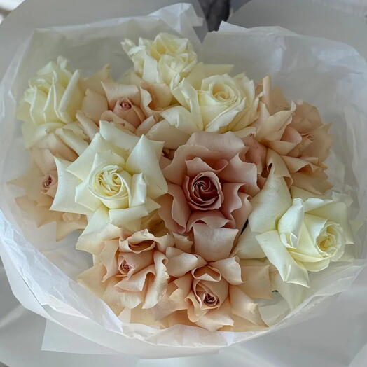 12 pétalos de cachemira - mezcla de rosas francesas