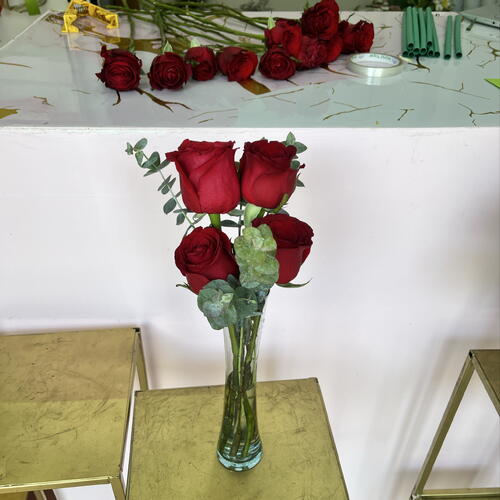 review-photo-before