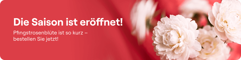 thematic-banner