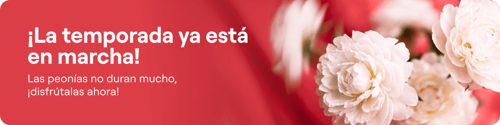 thematic-banner