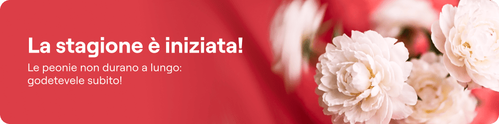 thematic-banner
