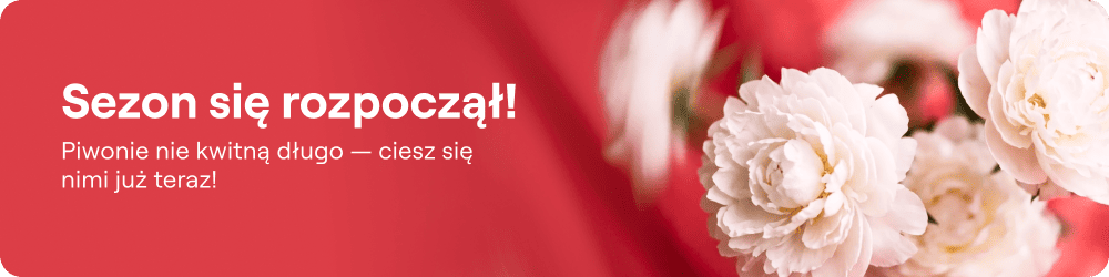 thematic-banner