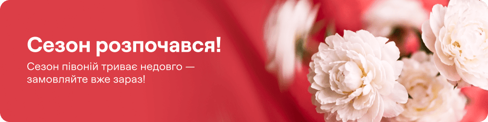 thematic-banner